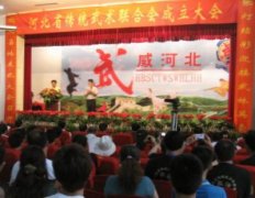 河北省传统武术文化联合会成立大会