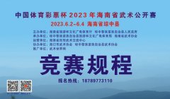 嗨翻滚吧2023海南省炫酷武术大赛