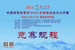2022年武林资讯海南省武术公开赛规程
